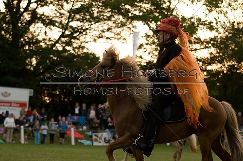 (c)SimoneHomberg_Ponyfest_Schauprogramm_20150606_0888