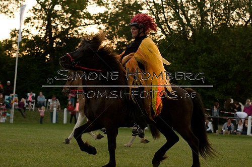 (c)SimoneHomberg_Ponyfest_Schauprogramm_20150606_0889