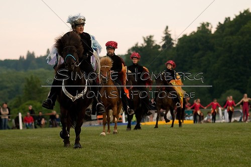 (c)SimoneHomberg_Ponyfest_Schauprogramm_20150606_0897