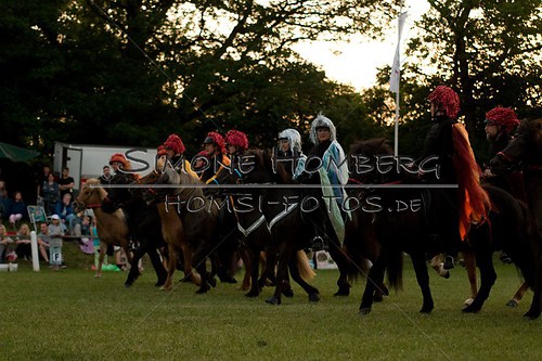 (c)SimoneHomberg_Ponyfest_Schauprogramm_20150606_0898