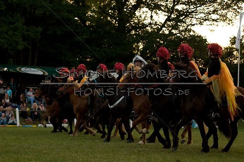 (c)SimoneHomberg_Ponyfest_Schauprogramm_20150606_0899