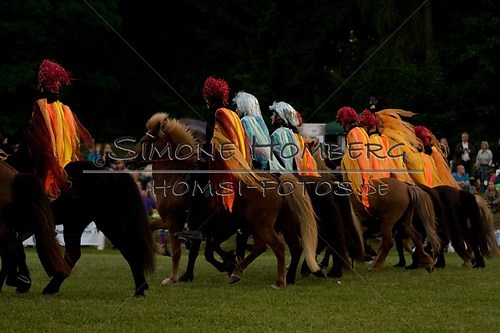 (c)SimoneHomberg_Ponyfest_Schauprogramm_20150606_0900