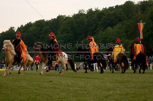 (c)SimoneHomberg_Ponyfest_Schauprogramm_20150606_0902