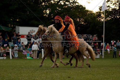 (c)SimoneHomberg_Ponyfest_Schauprogramm_20150606_0903