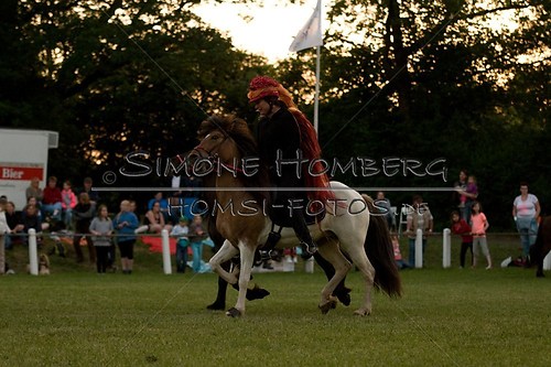 (c)SimoneHomberg_Ponyfest_Schauprogramm_20150606_0904