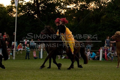 (c)SimoneHomberg_Ponyfest_Schauprogramm_20150606_0906