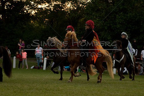 (c)SimoneHomberg_Ponyfest_Schauprogramm_20150606_0908