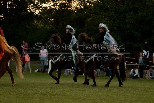 (c)SimoneHomberg_Ponyfest_Schauprogramm_20150606_0909