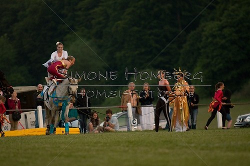 (c)SimoneHomberg_Ponyfest_Schauprogramm_20150606_0910