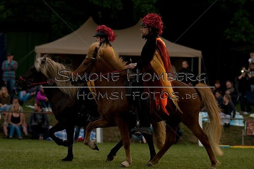(c)SimoneHomberg_Ponyfest_Schauprogramm_20150606_0911