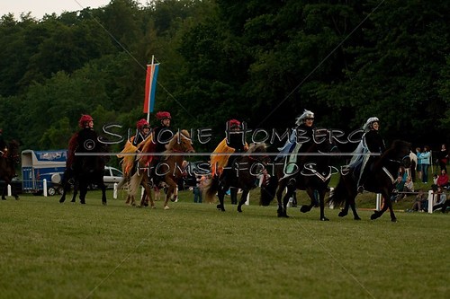 (c)SimoneHomberg_Ponyfest_Schauprogramm_20150606_0912