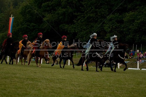 (c)SimoneHomberg_Ponyfest_Schauprogramm_20150606_0913