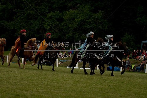 (c)SimoneHomberg_Ponyfest_Schauprogramm_20150606_0914