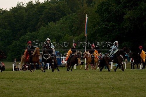 (c)SimoneHomberg_Ponyfest_Schauprogramm_20150606_0915