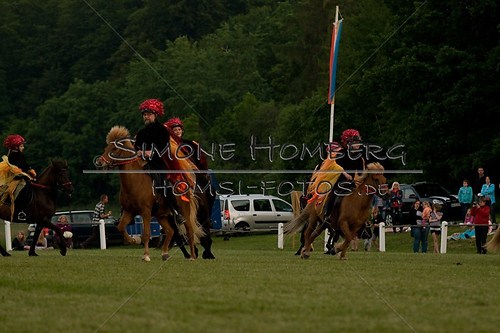 (c)SimoneHomberg_Ponyfest_Schauprogramm_20150606_0916