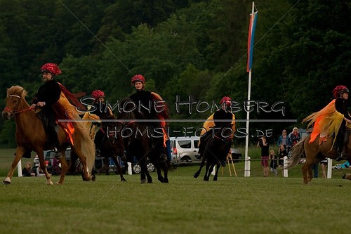 (c)SimoneHomberg_Ponyfest_Schauprogramm_20150606_0917