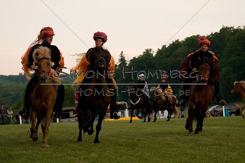 (c)SimoneHomberg_Ponyfest_Schauprogramm_20150606_0921