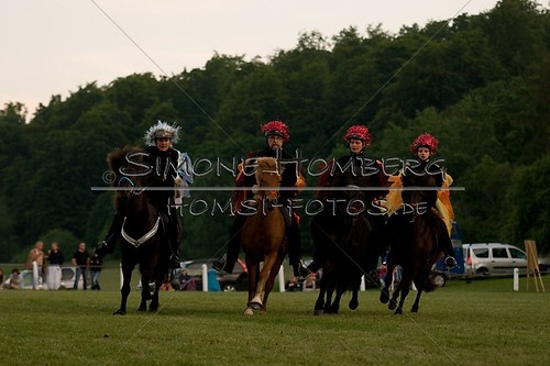 (c)SimoneHomberg_Ponyfest_Schauprogramm_20150606_0926