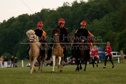(c)SimoneHomberg_Ponyfest_Schauprogramm_20150606_0927