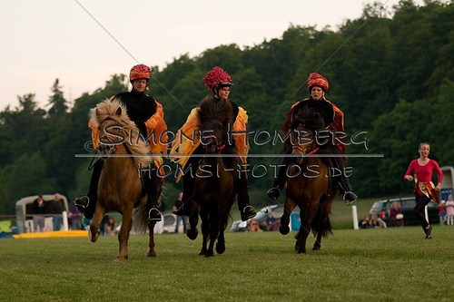 (c)SimoneHomberg_Ponyfest_Schauprogramm_20150606_0930