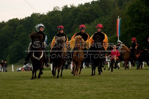 (c)SimoneHomberg_Ponyfest_Schauprogramm_20150606_0937