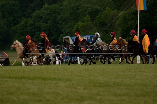 (c)SimoneHomberg_Ponyfest_Schauprogramm_20150606_0943