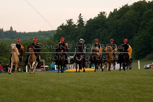 (c)SimoneHomberg_Ponyfest_Schauprogramm_20150606_0944