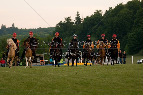 (c)SimoneHomberg_Ponyfest_Schauprogramm_20150606_0945