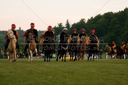 (c)SimoneHomberg_Ponyfest_Schauprogramm_20150606_0947