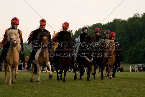 (c)SimoneHomberg_Ponyfest_Schauprogramm_20150606_0949