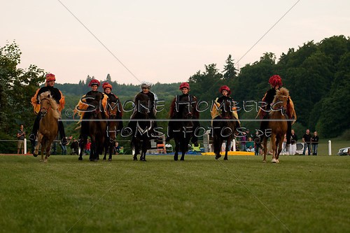 (c)SimoneHomberg_Ponyfest_Schauprogramm_20150606_0951