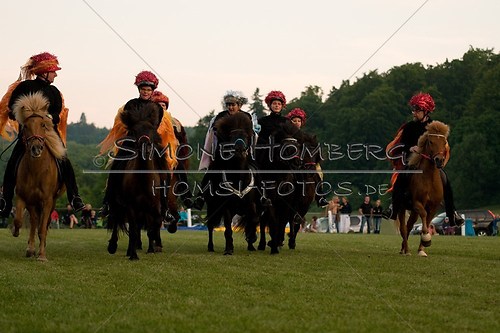 (c)SimoneHomberg_Ponyfest_Schauprogramm_20150606_0953