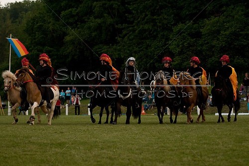 (c)SimoneHomberg_Ponyfest_Schauprogramm_20150606_0955