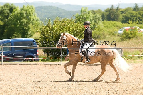 (c)SimoneHomberg_Ponyfest_So_20150607_0006