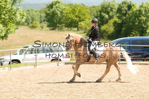 (c)SimoneHomberg_Ponyfest_So_20150607_0007