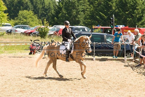 (c)SimoneHomberg_Ponyfest_So_20150607_0010