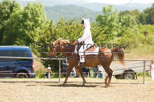 (c)SimoneHomberg_Ponyfest_So_20150607_0024