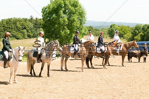 (c)SimoneHomberg_Ponyfest_So_20150607_0034