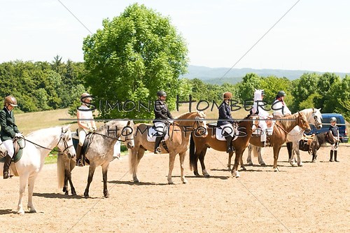 (c)SimoneHomberg_Ponyfest_So_20150607_0035