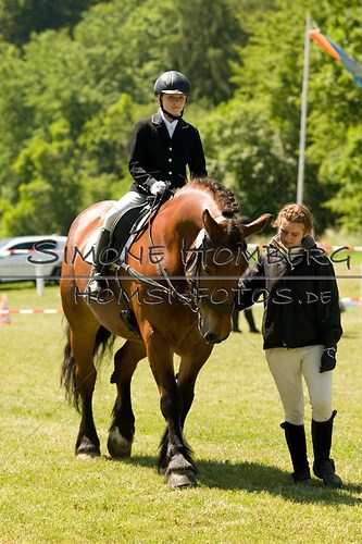 (c)SimoneHomberg_Ponyfest_So_20150607_0055