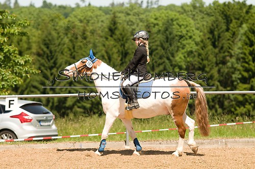 (c)SimoneHomberg_Ponyfest_So_20150607_0093