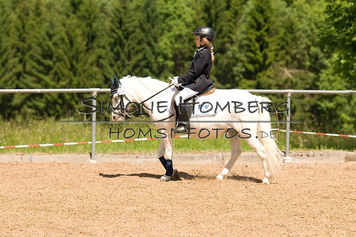 (c)SimoneHomberg_Ponyfest_So_20150607_0094 - Kopie