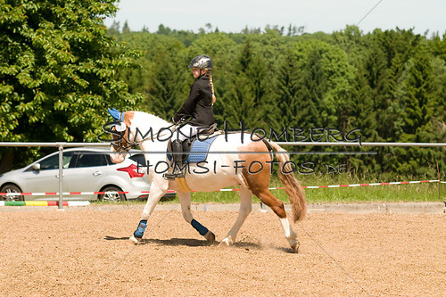 (c)SimoneHomberg_Ponyfest_So_20150607_0097