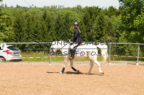 (c)SimoneHomberg_Ponyfest_So_20150607_0098