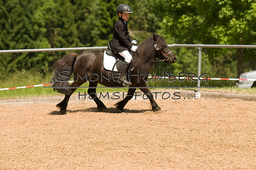 (c)SimoneHomberg_Ponyfest_So_20150607_0107