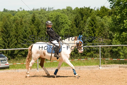 (c)SimoneHomberg_Ponyfest_So_20150607_0111