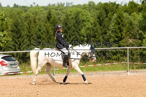 (c)SimoneHomberg_Ponyfest_So_20150607_0112