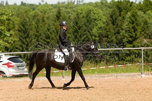 (c)SimoneHomberg_Ponyfest_So_20150607_0113