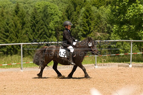(c)SimoneHomberg_Ponyfest_So_20150607_0114