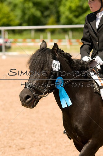 (c)SimoneHomberg_Ponyfest_So_20150607_0118